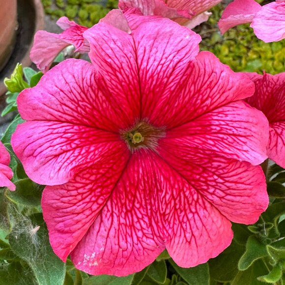 Welcome to my closet! - Picture 1 of 1